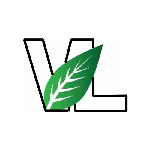 vinleongplasticproducts.com